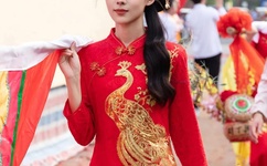 家庭大派对小说